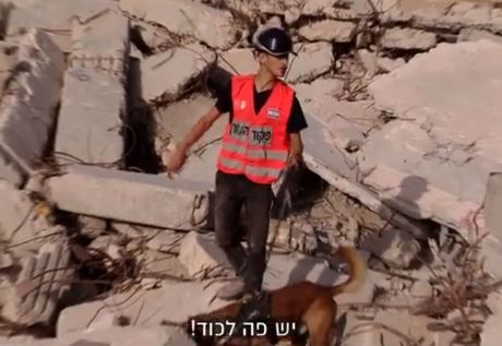 נער ביחידת החילוץ בעזרת כלבים