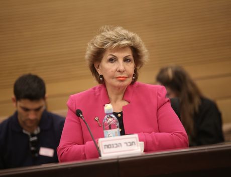 חברת הכנסת סופה לנדבר
