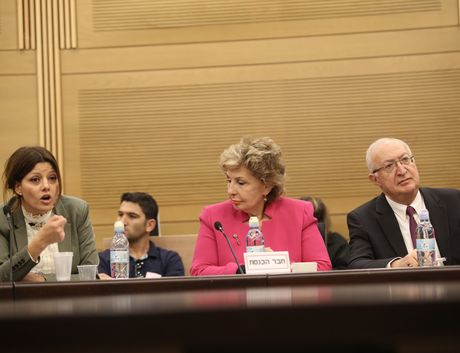 חהכ אורלי לוי, חהכ סופה לנדבר וחהכ מנואל טרכטנברג
